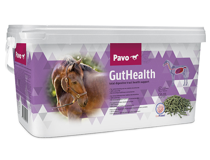 Pavo GutHealth 8 kg